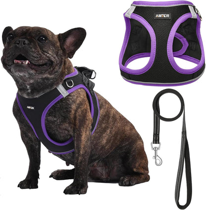 AMTOR Small Dog Harness with Leash Set, No Escape Easy Walk Puppy Harnesses for Training Walking, Step-In Reflective Soft Dogs Vest for XS S Medium Extra-Small Large Sized Dog(Green,S)8