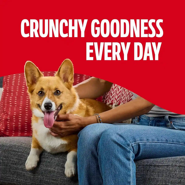 Milk-Bone Flavor Snacks Mini’S Dog Biscuits, Flavored Crunchy Dog Treats, 36 Oz. Canister | 5 Calories per Treat, 15% Protein, 3 Flavors per Canister (Beef, Chicken & Bacon, Naturally & Artificially Flavored)5