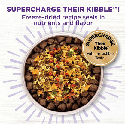 Wellness Bowl Boosters Digestive Health Dog Food Topper with Freeze Dried Pieces for Small, Medium, and Large Breeds, Sensitive Stomach, Grain Free, Natural, Chicken Recipe, 4 Oz Bag3