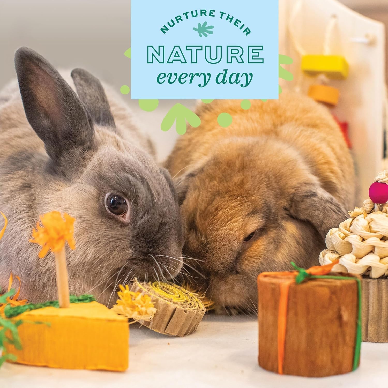 oxbow-birthday-party-pack-rabbit-guinea-pig-toys-bunny-enrichment-toys-rabbit-chew-toys-guinea-pig-enrichment-guinea-pig-chew-toys-rabbit-enrichment-natural-materials-small-pet-accessories