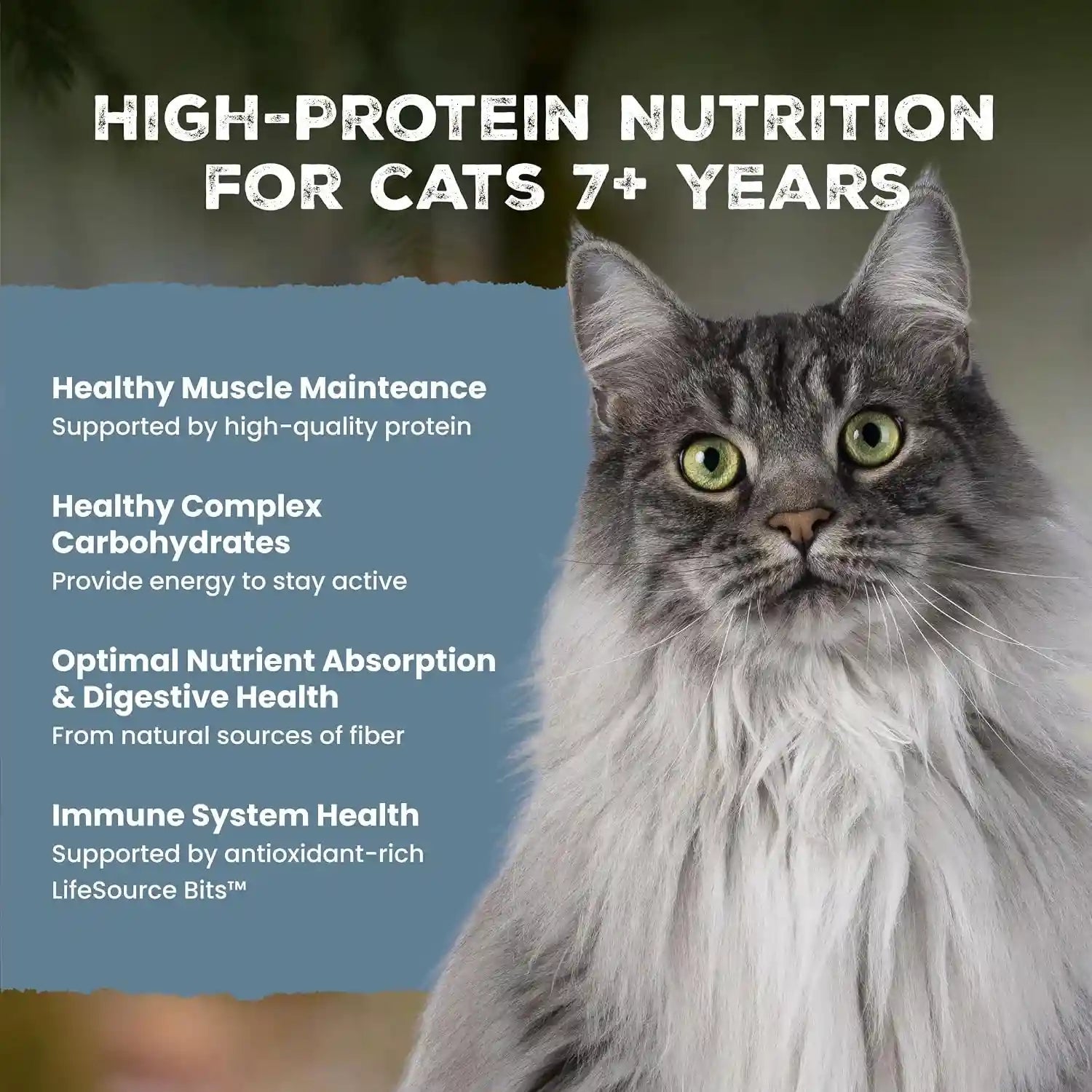 blue-buffalo-wilderness-with-chicken-natural-high-protein-grain-free-dry-food-for-adult-cats-7-real-chicken-first-antioxidant-rich-lifesource-bits-support-immunity-in-senior-cats-5-lbs