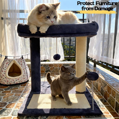 Cat Scratching Post, 19.69" H(50Cm) Cat Tree with Cat Bed, Scratching Posts for Indoor Cats with Two Plush Balls Toy, Small Cat Tree for Kittens/Cats Playing and Relaxing (20 in Grey Cat Tree)8