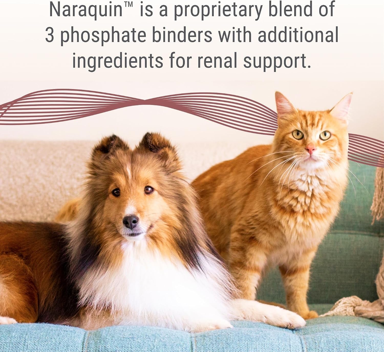 nutramax-laboratories-naraquin™-dietary-phosphate-binder-renal-support-supplement-for-cats-dogs-60-count