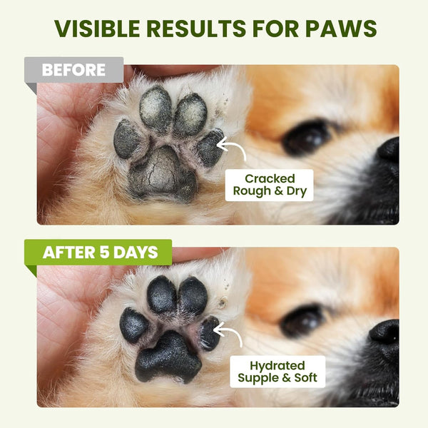Pawsono Lick-Safe Dog Paw & Nose Balm with Coconut Oil | All-Natural Dog Paw Protector against Hot Pavement & Sand, Great for Dogs Who Hate Dog Booties or Shoes (2.1 Oz / 60 G)4