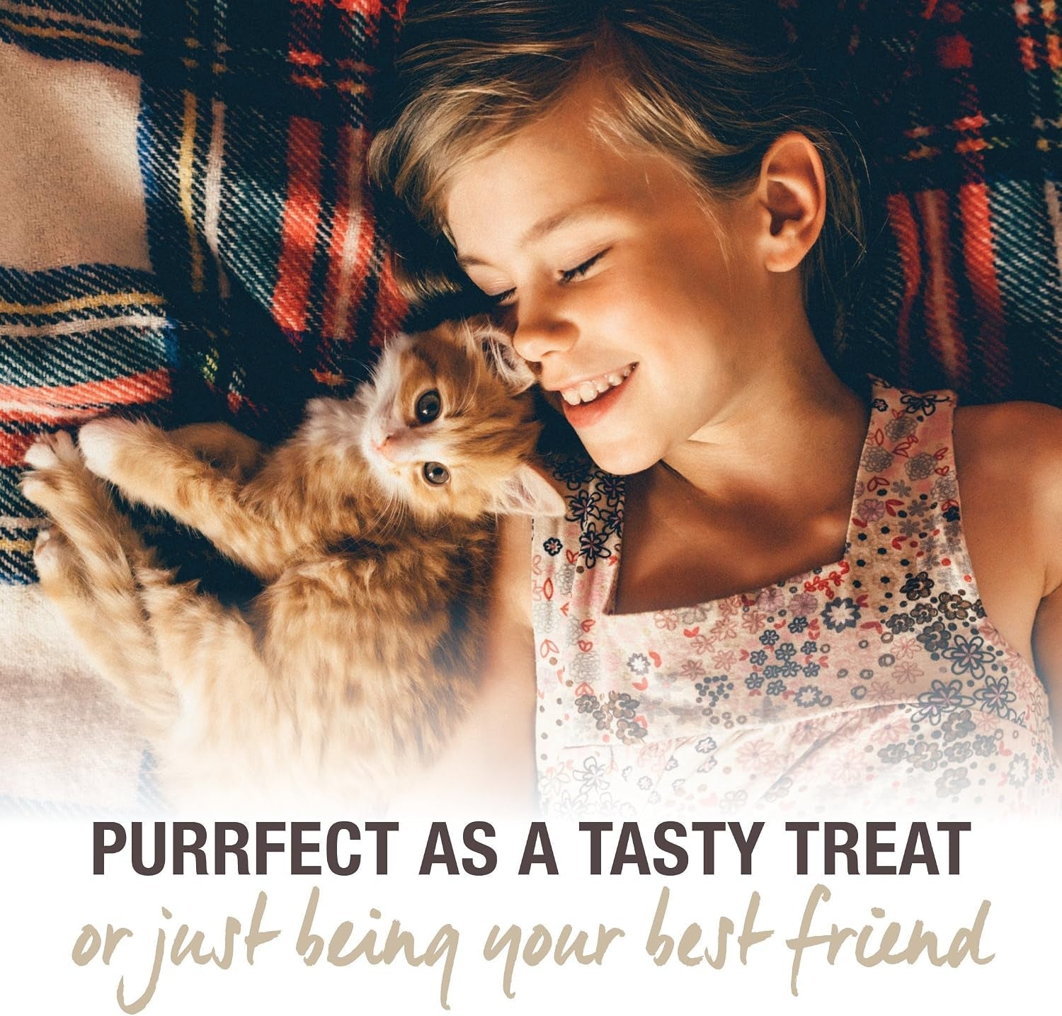 feline-natural-freeze-dried-cat-treats-new-zealand-single-source-protein-treats-for-cats-grain-free-healthy-cat-snacks-lamb-bites-1-76oz