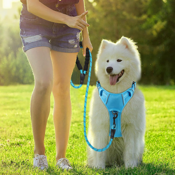 BARKBAY Dog Harness No Pull with ID Tag Pocket - Heavy Duty, Reflective, Easy Control for Large Dogs(Blue,L)8