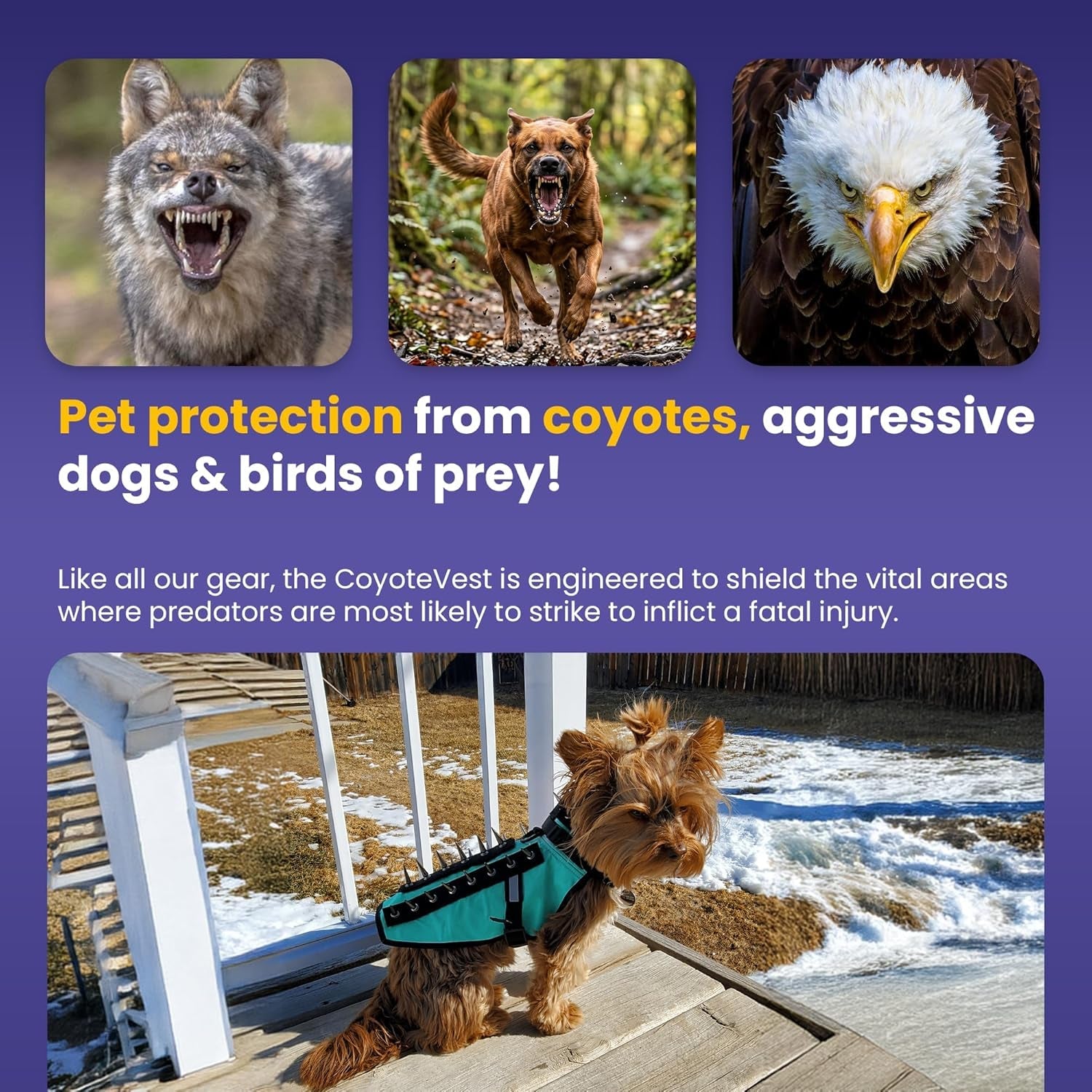 coyotevest-dog-harness-stab-resistant-coyote-vest-small-neon-pink-reflective-stab-resistant-vest-helps-protect-small-dogs-from-coyotes-aggressive-dogs-and-birds-of-prey-made-in-the-usa