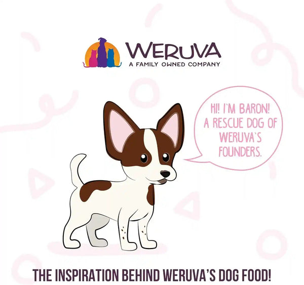 Weruva Meals 'N More Natural Wet Dog Food, Belly Belly Nice! Digestive Support Variety Pack, 3.5Oz Cup (Pack of 10)8