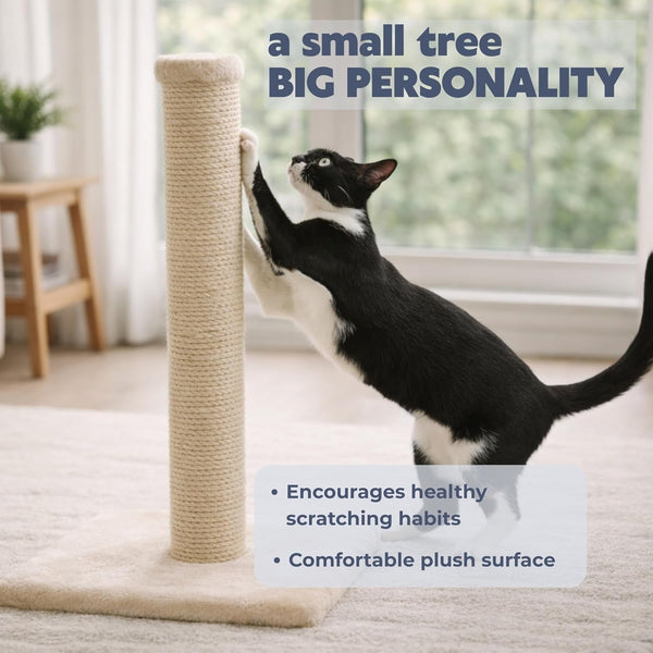 Trixie Parla Cat Scratching Post 24.4 Inch - Cat Scratcher with Soft Fabric Covering Base and Durable Natural Jute Rope - Beige2