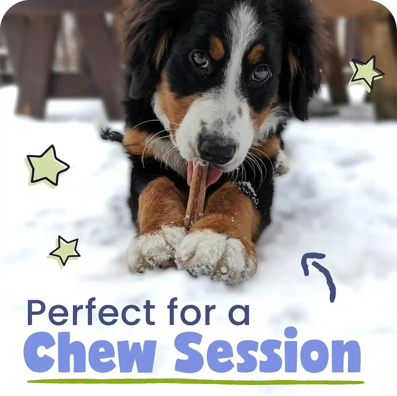 pawstruck-natural-5-8-bully-sticks-for-dogs-best-long-lasting-rawhide-free-low-odor-dental-chew-treat-healthy-single-ingredient-100-real-beef-8-oz-bag-packaging-may-vary
