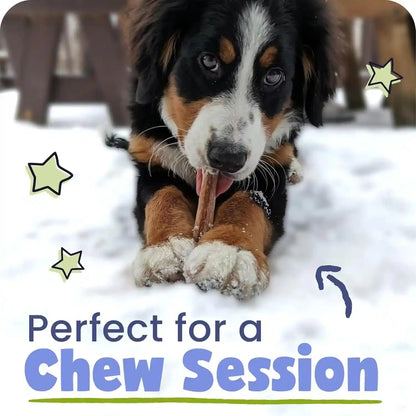 Pawstruck Natural 5-8" Bully Sticks for Dogs - Best Long-Lasting, Rawhide-Free, Low Odor Dental Chew Treat - Healthy Single Ingredient, 100% Real Beef - 8 Oz Bag - Packaging May Vary2