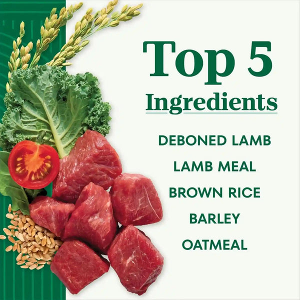 Nutro Natural Choice Small Bites Dry Dog Food, Lamb & Rice, 12 Lb | Non-Gmo, Real Lamb #1 Ingredient, No Corn, Wheat, Soy, Crafted in USA, Supports Energy, Bones, Muscles, Dental Health, Skin4