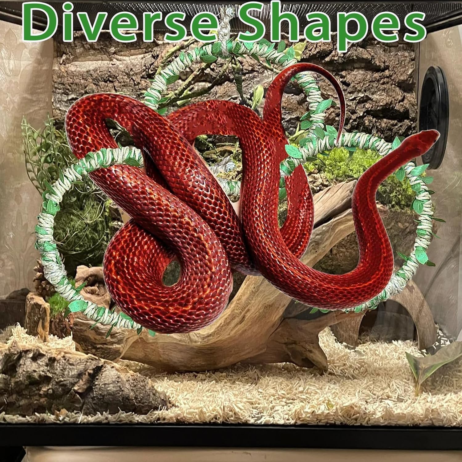 snake-climbing-rings-for-ball-python-enclosure-accessories-reptile-habitat-decor-climbing-branches-bedding-for-ball-python-for-corn-snake-enhancement-ring-toys