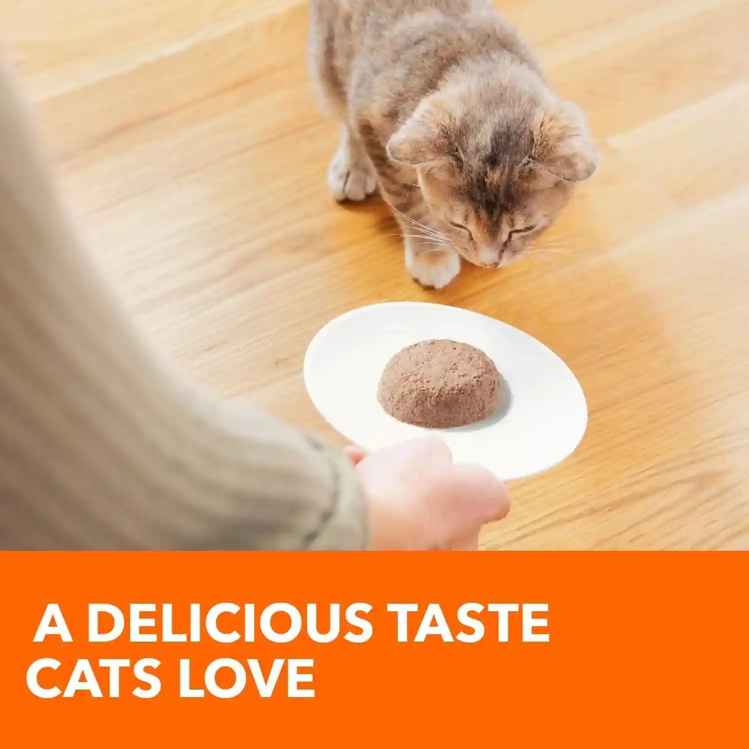 iams-perfect-portions-healthy-kitten-pate-wet-cat-food-chicken-24-count-grain-free-vitamin-e-immune-support-no-fillers-made-in-usa-snap-peel-serve-2-6-oz-twin-pack-trays-no-artificial-flavors