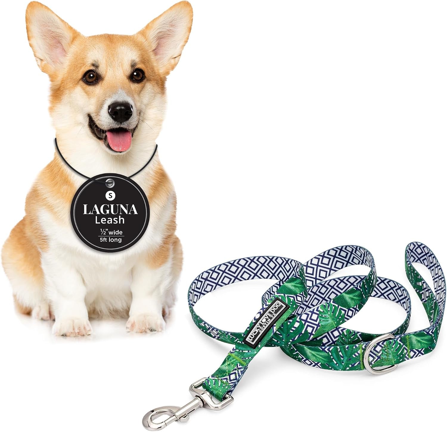 lucky-love-dog-leash-beautiful-vivid-patterns-durable-long-lasting-blackbird-large