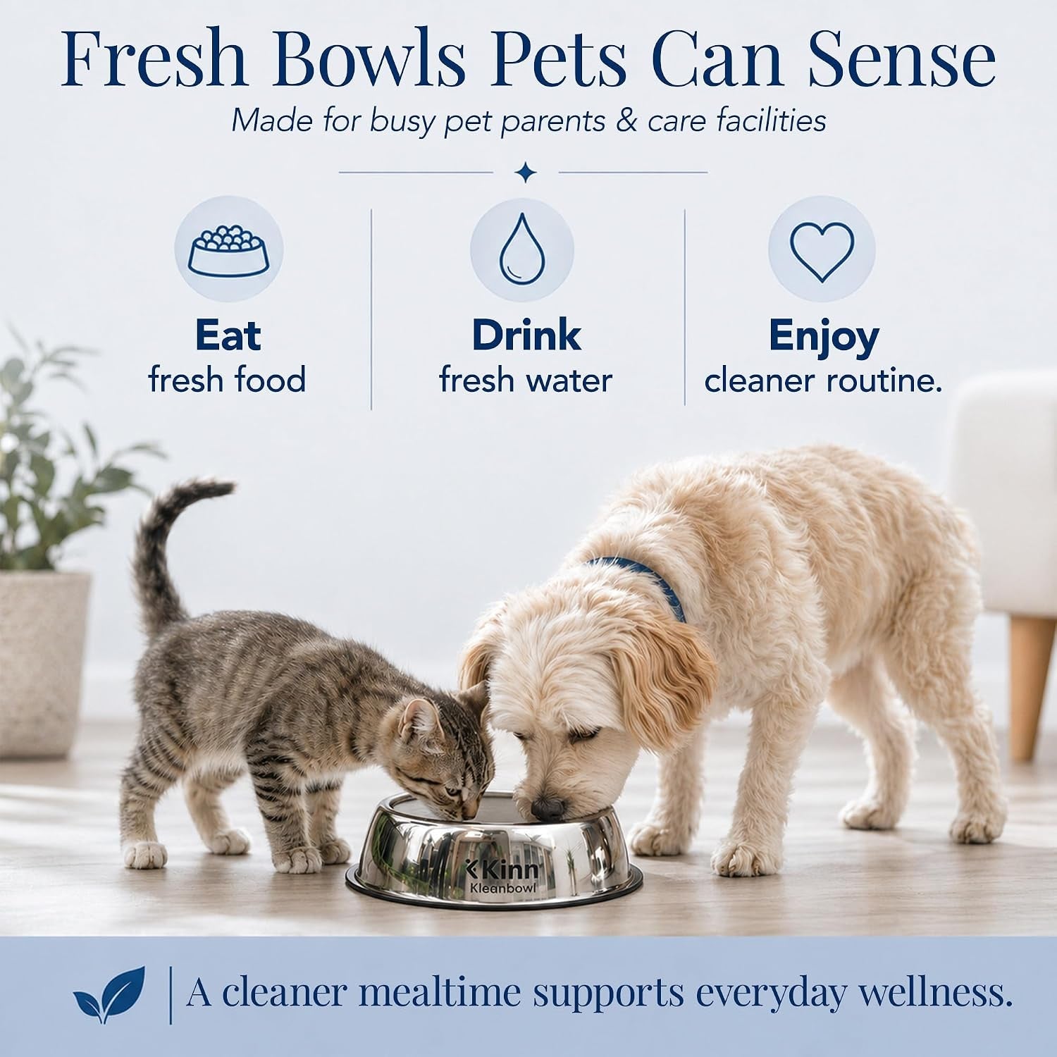 kinn-kleanbowl-pet-bowl-stainless-steel-frame-8-oz-pack-of-1-compostable-refills-spill-proof-stable-disposable-easy-cleaning-no-plastic