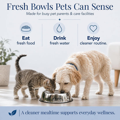 Kinn Kleanbowl Pet Bowl Stainless Steel Frame, 8 Oz (Pack of 1) | Compostable Refills, Spill-Proof Stable, Disposable, Easy Cleaning, No Plastic6