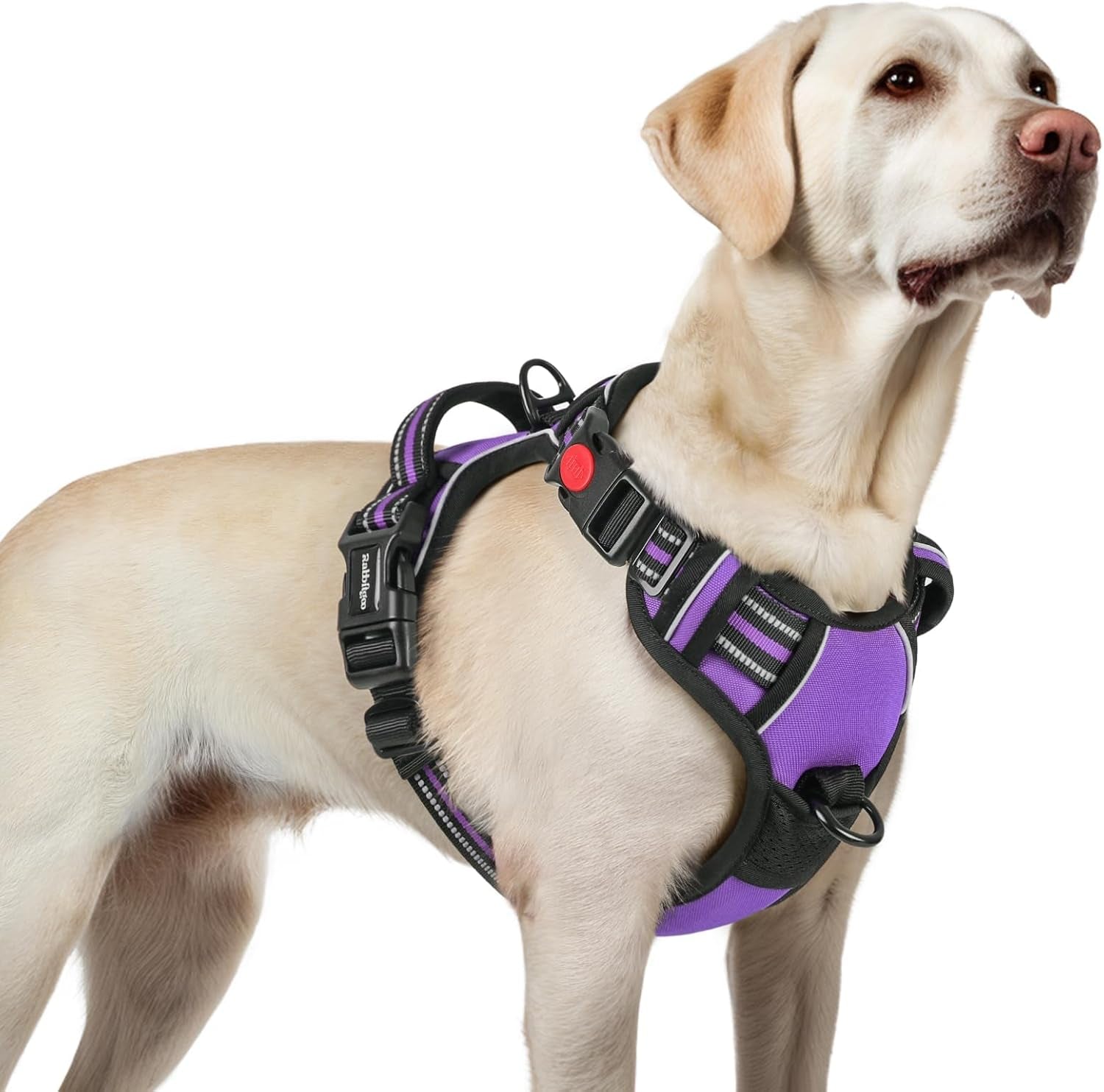 rabbitgoo-dog-harness-medium-sized-updated-easy-on-off-with-3-buckles-no-pull-no-choke-walking-with-2-clips-and-handle-adjustable-soft-reflective-blue-medium