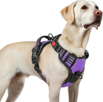 Rabbitgoo Dog Harness Medium Sized, Updated Easy on & off with 3 Buckles | No Pull No Choke, Walking with 2 Clips and Handle, Adjustable Soft Reflective, Blue, Medium19