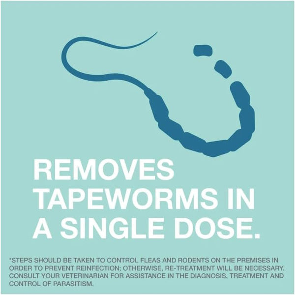 Elanco Tapeworm Dewormer (Praziquantel Tablets) for Cats and Kittens 6 Weeks and Older, 3-Count7