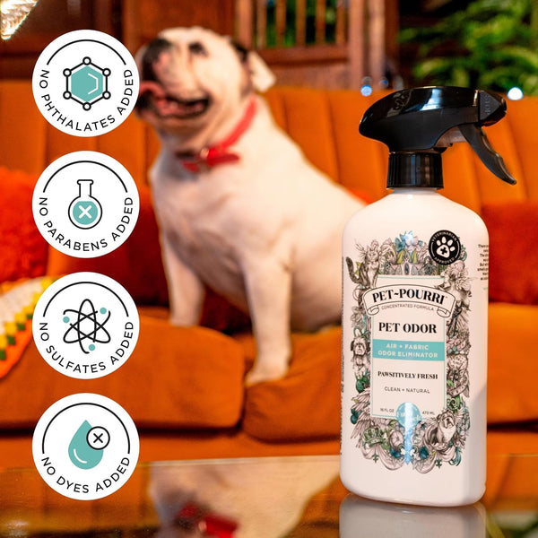 Pet-Pourri Pawsitively Fresh Pet Odor Deodorizer Spray, 16 Fl Oz, up to 800 Uses, Air + Fabric Odor Remover with Essential Oils & Plant Based Ingredients, Vet Recommended, Pineapple, Jasmine & Pear9