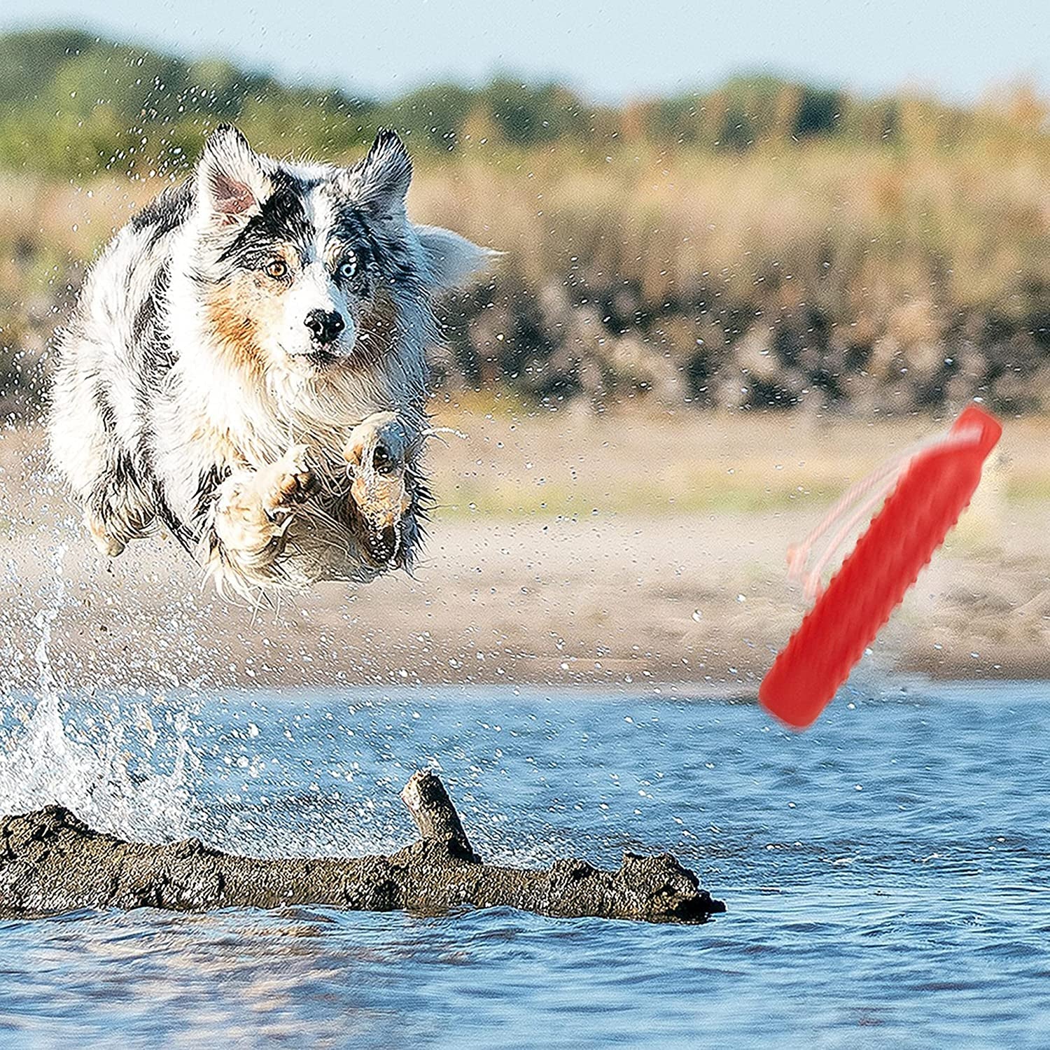 dog-water-toys-2-pack-floating-bumper-fetch-toy-dummy-interactive-retrieving-training-float-pet-rope-toy-for-pool-lake-outdoor-small-medium-large-dogs