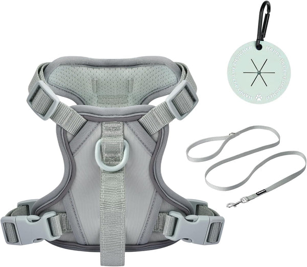 Petmolico No Pull Cute Dog Harness Reflective, Light Blue, Small | Set Includes Leash & Waste Bag Holder, 2 Clips & Handle, Soft Comfy Fit, Adjustable, Ideal for Daily Walks & Travel14