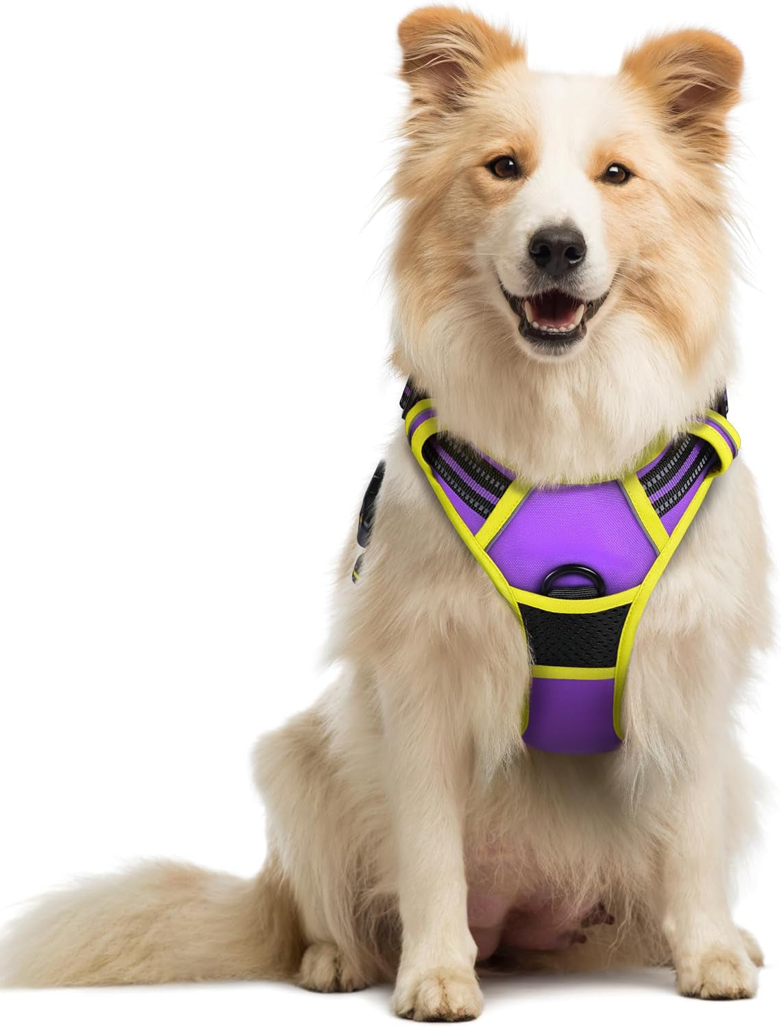 rabbitgoo-dog-harness-no-pull-for-large-dogs-with-2-leash-clips-pet-vest-no-choke-with-handle-adjustable-soft-padded-reflective-easy-control-for-walking-black-large