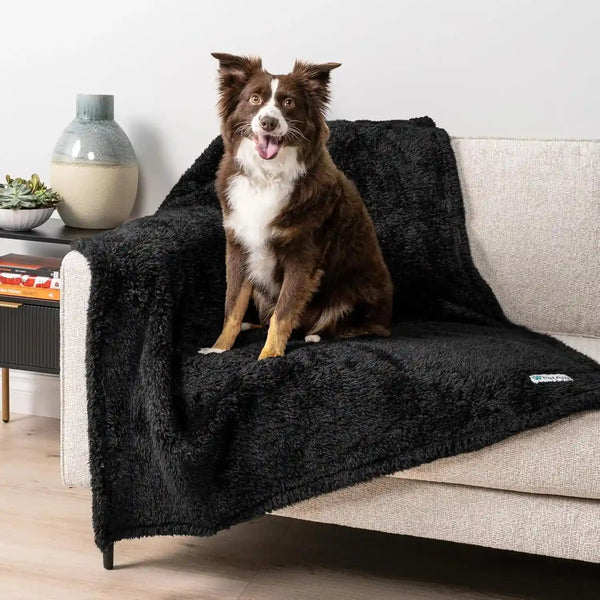 Petami Fluffy Waterproof Dog Blanket for Couch and Bed, Reversible Sherpa Pet Throw, Pee Proof Furniture Protector Sofa Cover, Washable Cat Blanket for Medium Large Dogs and Cats (Taupe Camel, 60X80)26