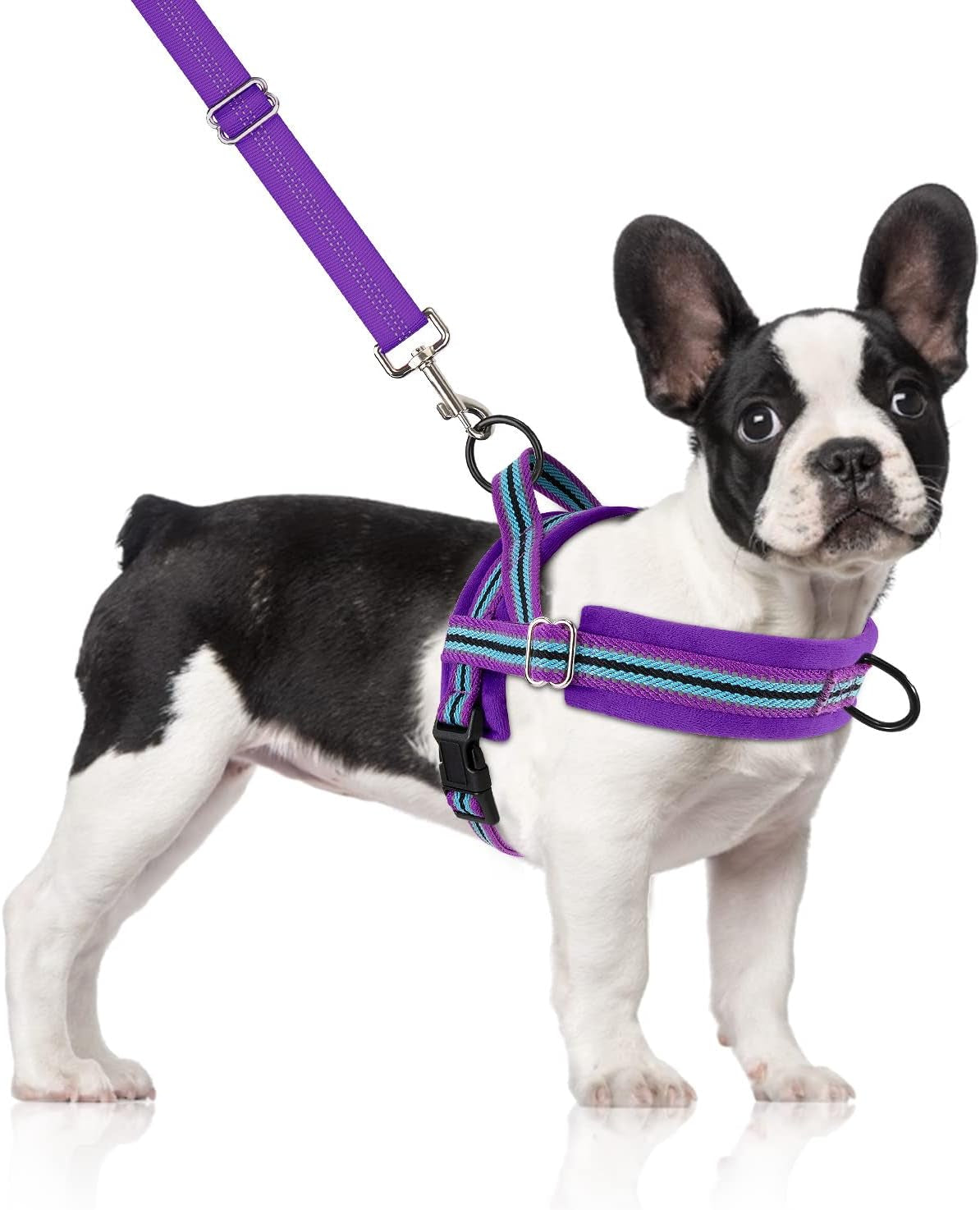 slowton-no-pull-small-dog-harness-and-leash-set-puppy-soft-vest-harness-neck-chest-adjustable-reflective-lightweight-harness-anti-twist-pet-lead-combo-for-small-medium-dogs-fuchsia-xxs