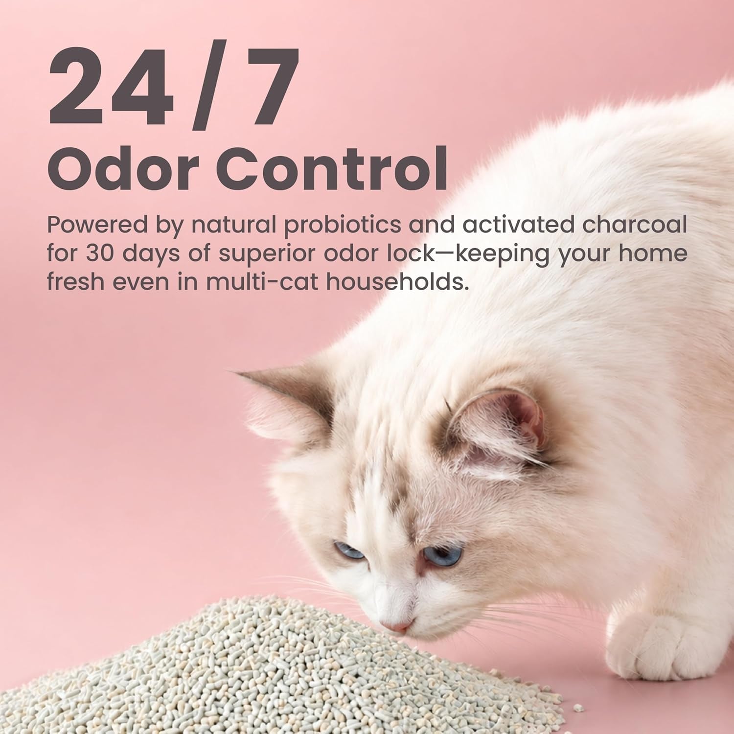 lady-n-tofu-cat-litter-low-dust-compatible-with-auto-box-unscented-9lb-mini-pellet-shape-strong-clumping-ultra-absorbent-activated-charcoal-odor-control