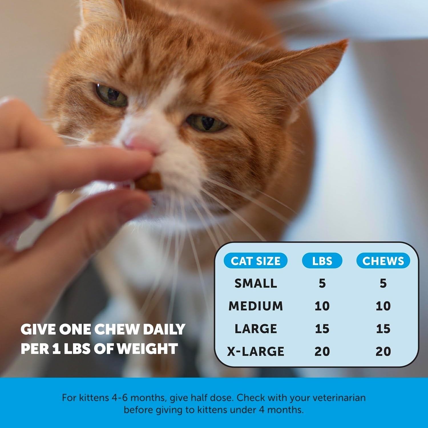 cat-skin-coat-supplement-crunchy-creamy-chews-salmon-oil-for-cats-omega-3-itchy-dry-skin-relief-feline-shedding-control-biotin-vitamins-for-indoor-cats-shiny-soft-coat-30-day-supply