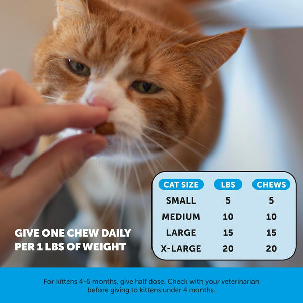 Cat Skin & Coat Supplement Crunchy Creamy Chews - Salmon Oil for Cats Omega 3 Itchy Dry Skin Relief - Feline Shedding Control - Biotin Vitamins for Indoor Cats Shiny Soft Coat (30-Day Supply)6