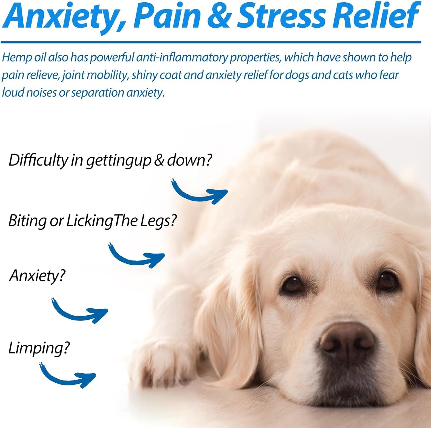 oil-for-dogs-cats-60ml-pet-oil-for-pain-skin-arthritis-pain-pain-relief-calming-omega-3-6-9-for-dog-emotions-barking-dog-joints-supports-maintains-healthy-joints-1-pack-blue