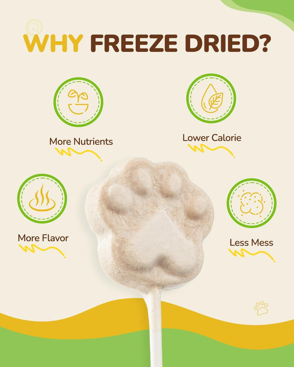 PAWUP Freeze Dried Chicken Cat Treats, High-Protein Cat Snacks, 10 Pack | Chicken First, High Protein, Interactive Feeding, Daily Rewards, Cat Lollipops Treat, Birthday Cat Treat, Interactive Feeding3