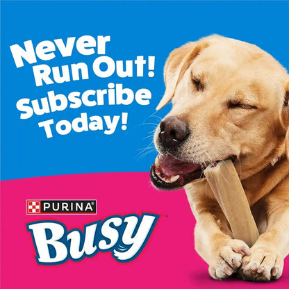 Purina Busy Bone Adult Dog Chew Bone Treats, Original - 10 Ct. Pouch13