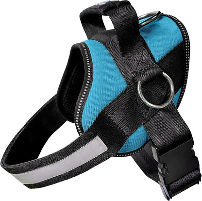 Joyride Basic Dog Harness 1.0 | Blue Serenity | M | Adjustable Pet Vest with 3 Side Leash Rings for Training, Walking and Improved Control for Small, Medium or Large Dogs8