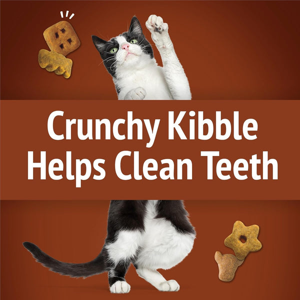 Purina Friskies Cat Treats, Party Mix Wild West Crunch - (Pack of 10) 2.1 Oz. Pouches5