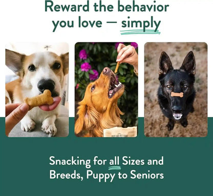 Portland Pet Food Pumpkin Dog Treats - Healthy, Grain-Free Biscuits, 5 Oz | Human-Grade, Limited Ingredient, Natural Low Calorie Training Treats for Small & Large Dogs, Puppy to Senior, Made in USA7