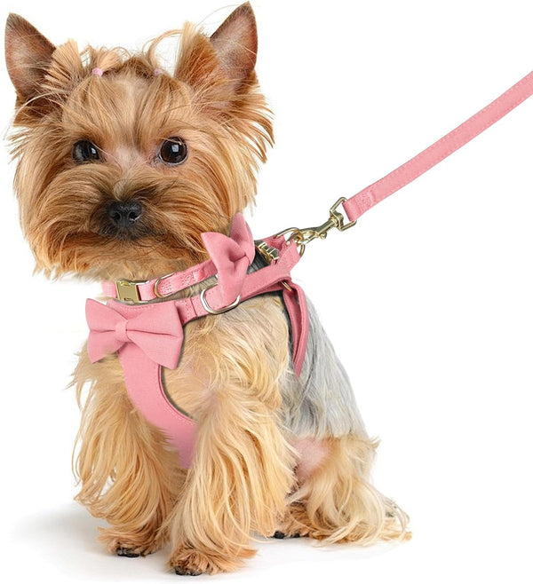 Beirui Cute Small Dog Harness Collar and Leash Set, Pink,Xxs,Chest 12-14" | for Small Dogs Puppy, Three Detachable Bows, Adjustable Step-In Vest, Yorkshire, Chihuahua, for Daily Walking Holiday Outfits4
