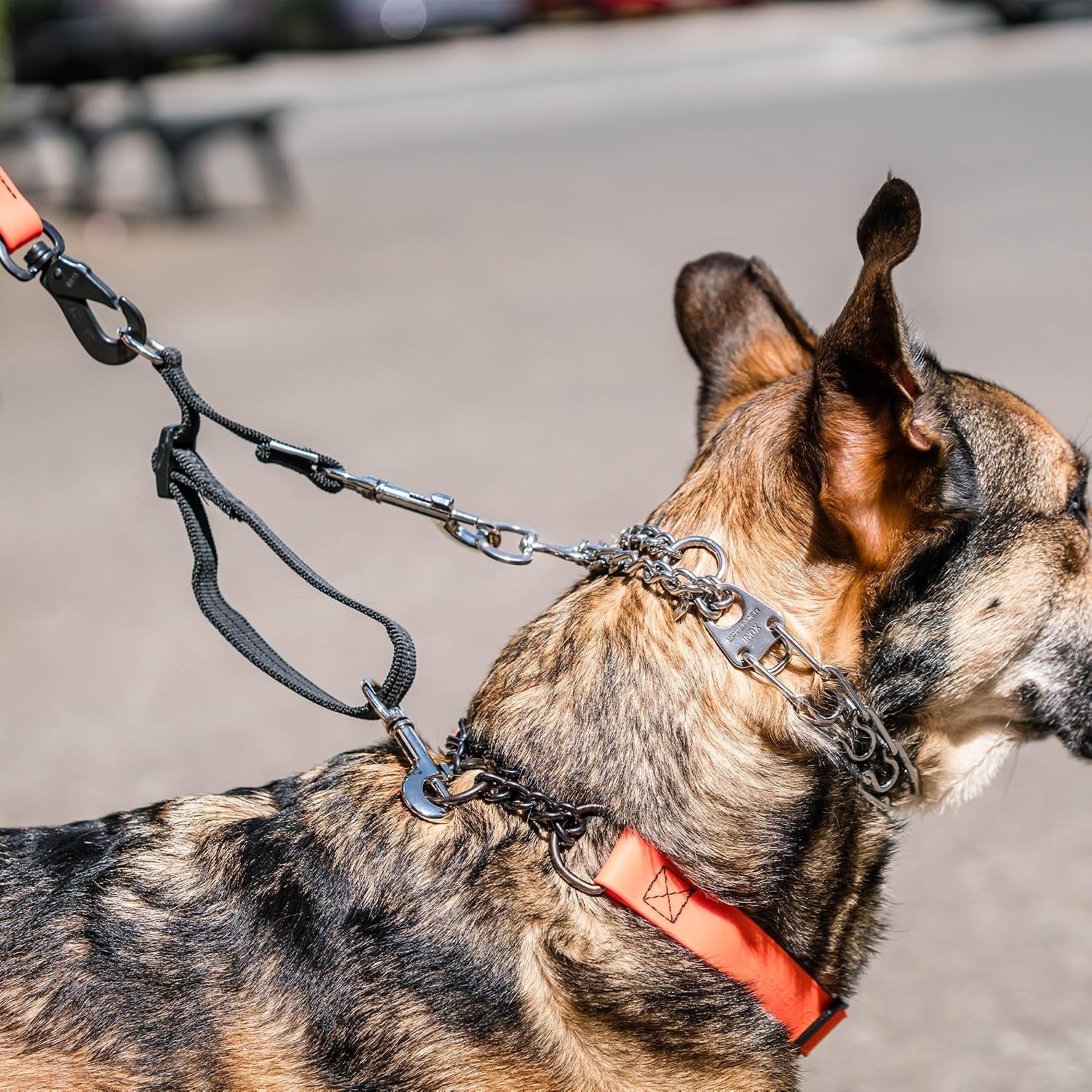 herm-sprenger-adjustable-coupling-strap-reflective-nylon-2-way-dog-leash-coupler-with-nickel-plated-swivel-clip-safety-backup-strap-for-prong-flat-collars-red