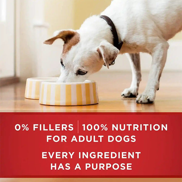 Purina ONE Classic Ground Chicken and Brown Rice, and Beef and Brown Rice Entrees Wet Dog Food Variety Pack - (Pack of 6) 13 Oz. Cans10