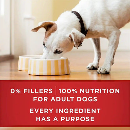 Purina ONE Classic Ground Chicken and Brown Rice, and Beef and Brown Rice Entrees Wet Dog Food Variety Pack - (Pack of 6) 13 Oz. Cans10