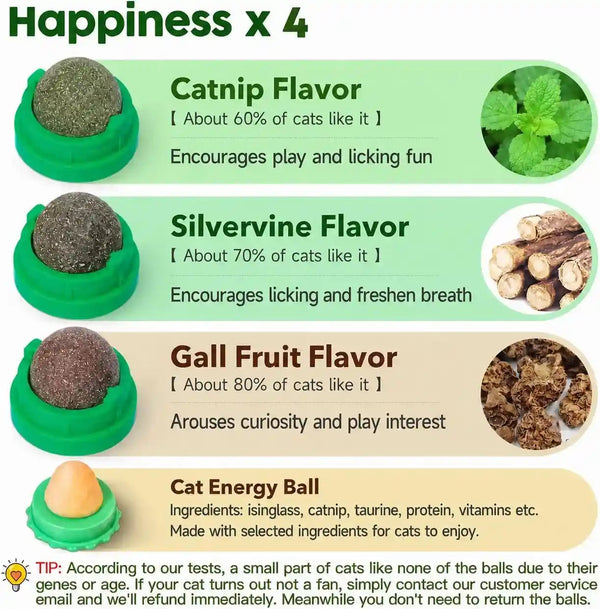 Potaroma Catnip Toys Balls 4 Pcs with Extra Cat Energy Ball | Edible Kitten Catnip Silvervine Toys for Cats Lick, Healthy Kitty Teeth Cleaning Dental Chew Toys, Cat Wall Treats (Green)2