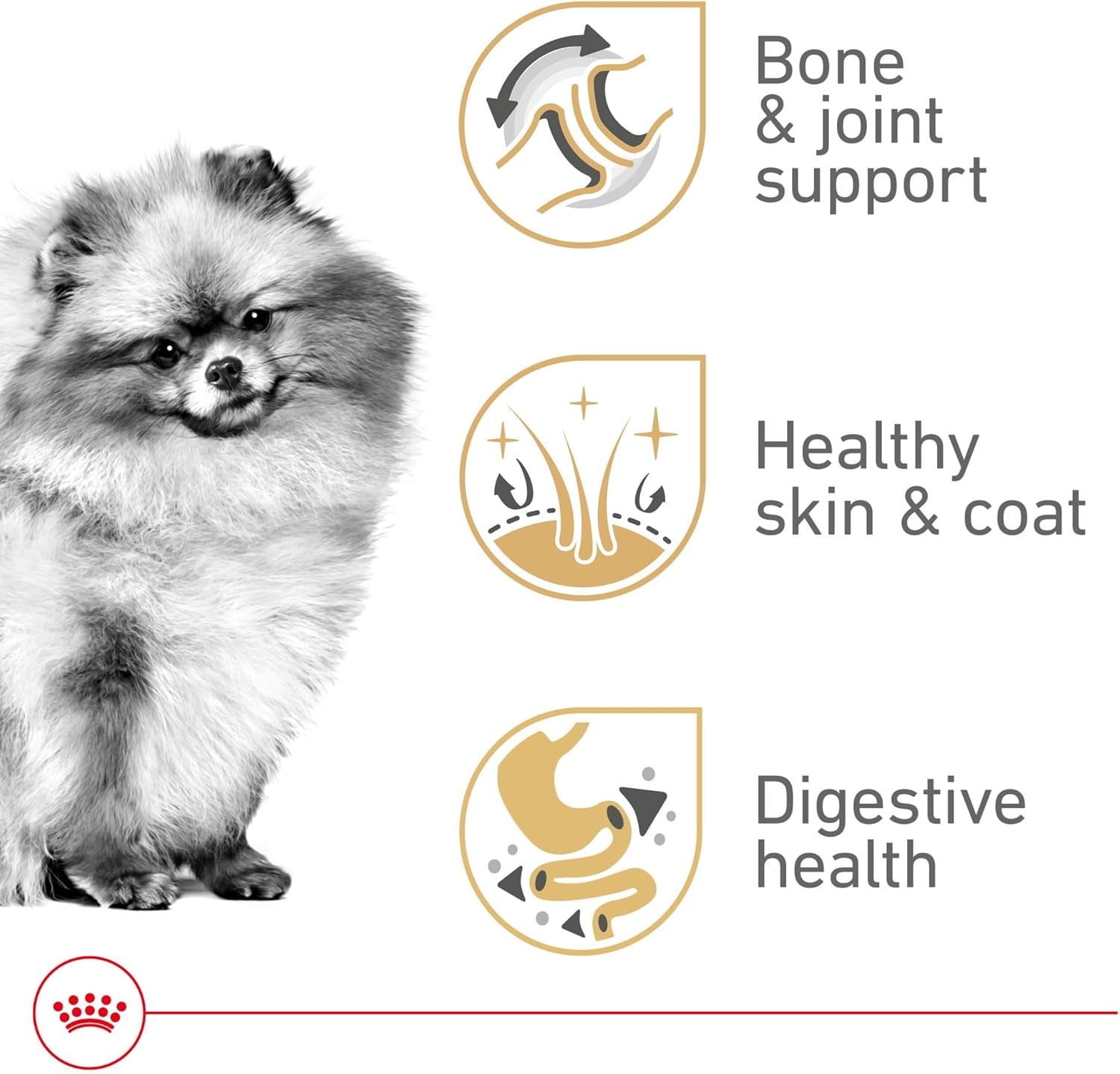 royal-canin-bhn-pomeranian-adult-dry-dog-food-2-5-lb-bag
