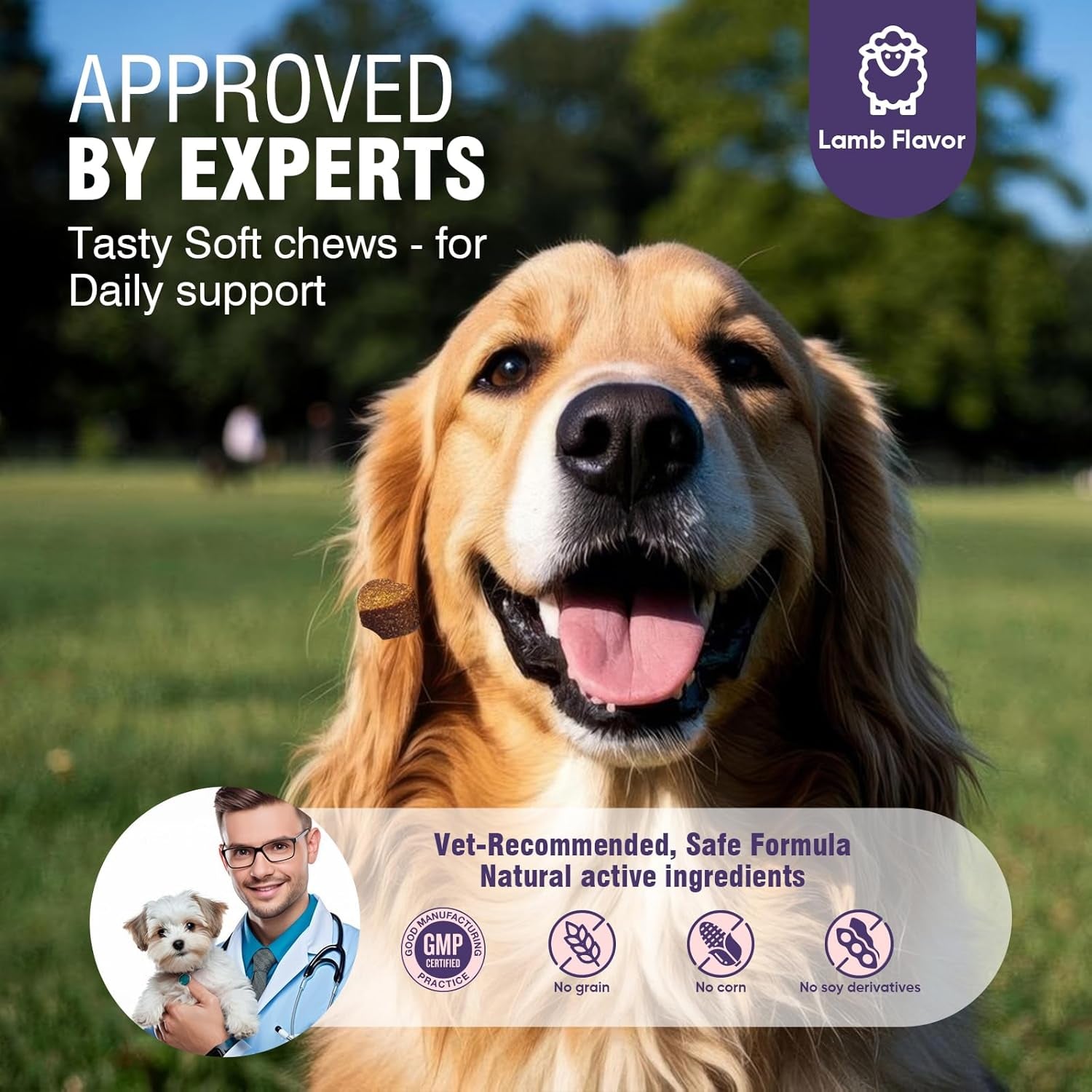 dog-allergy-chews-200ct-dog-allergy-and-itching-skin-relief-anti-itch-aller-immune-bites-for-dogs-licking-paws-treatment-relief-itchy-chew-probiotics-vitamins-for-skin-and-coat-allergies-lamb-probiotics-vitamins-bites-for-dogs-licking-paws-anti-itch-treatments-to-soothe-allergies-support-healthy-coat-health