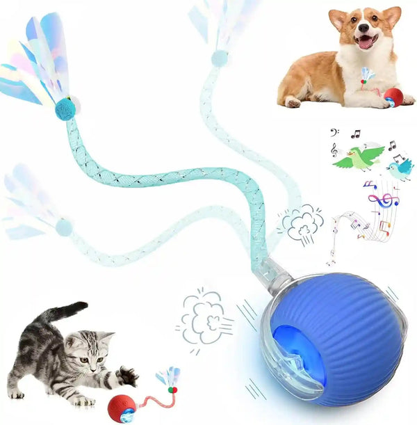 2 Packs Speed 2.0 Tail Interactive Cat Toys for Indoor Cats, Chirping & Motion Activate Cat Toy, Smart Kitten Rolling Ball Moving Ball Toys, Rechargeable Dog Cats Bal L for Enrichment Exercise23