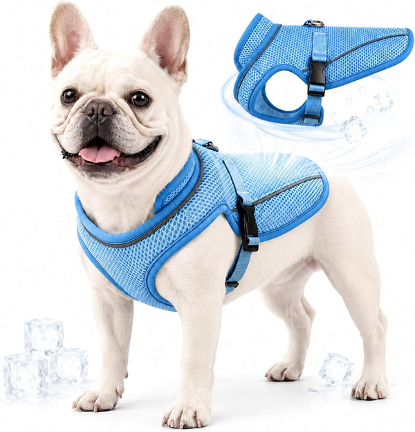 Dog Cooling Vest, Evaporative Cooling Dog Jacket with UV Protection, Lightweight Breathable Mesh Dog Cooling Shirt, Summer Heat Relief Gear with Adjustable Buckles for Hot Weather Walking & Hiking13