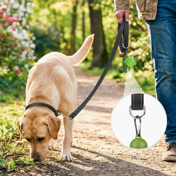 Joytale Reflective Dog Leash for Medium & Large Dogs, 6 FT X 1", Black | Heavy Duty Nylon Webbing, Padded Handle for Comfort, Visible at Night, for Walking & Training2