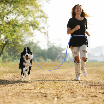 9-In-1 Hands Free Dog Leash Crossbody/Waist Blue Small Dogs | Adjustable, Waterproof No-Pull Dog Collar/Harness/Leash Set, Heavy Duty, Slip Lead, Fits 8-120Lbs4